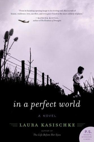 In a Perfect World (P.S.)