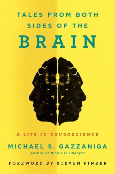 Tales From Both Sides of the Brain