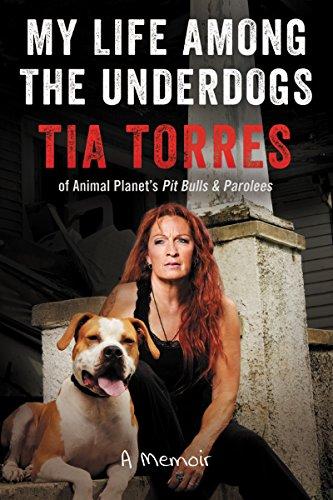 My Life Among the Underdogs by Tia Torres Book Outlet