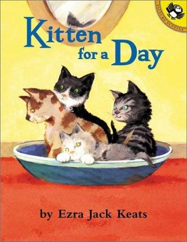 Kitten For A Day