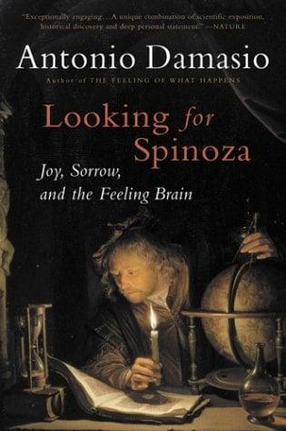 Looking for Spinozaz: Joy, Sorrow, and the Feeling Brain