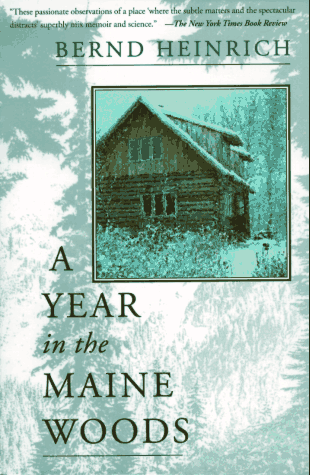 A Year In The Maine Woods