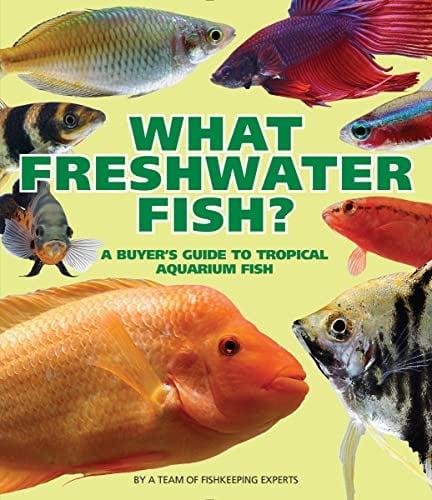 What Freshwater Fish? A Buyer's Guide to Tropical Aquarium Fish