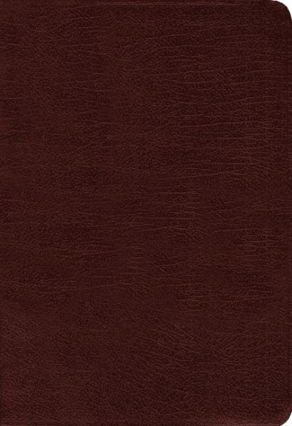 AMP, Large Print, Amplified Holy Bible (Burgundy Bonded Leather)