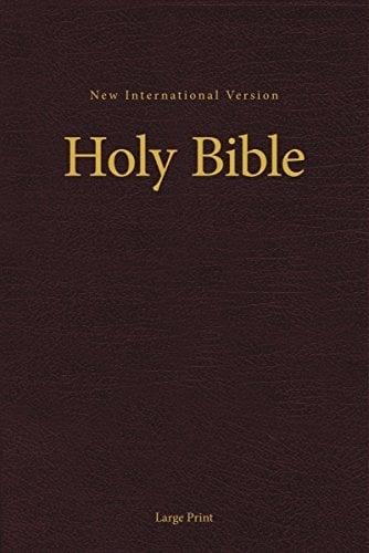NIV Pew and Worship Bible (Large Print, Burgundy)
