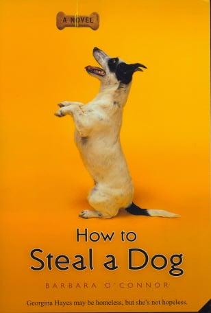 How To Steal A Dog