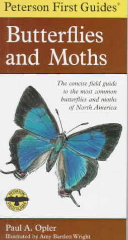 Butterflies and Moths  (Peterson First Guides)