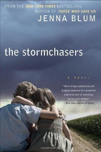 The Stormchasers: A Novel