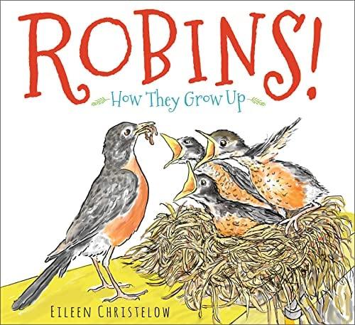 Robins!: How They Grow Up
