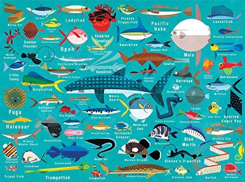Ocean Life 1000 Piece Jigsaw Puzzle