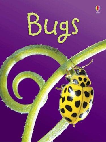 Bugs (Usborne Beginners, Level 1)