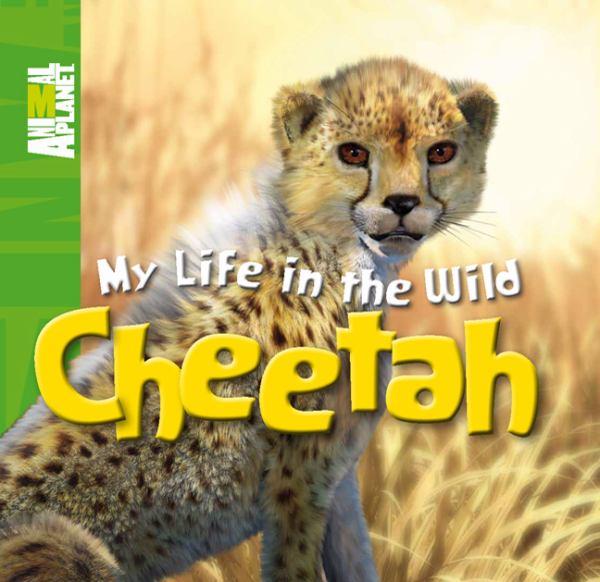My Life in the Wild: Cheetah: A Life Cycle Book (Animal Planet)