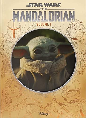 Star Wars: The Mandalorian (Bk. 1)