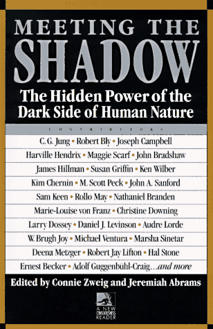 Meeting the Shadow: The Hidden Power of the Dark Side of Human Nature
