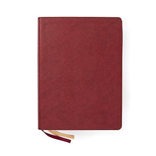 CSB Holy Land Illustrated Bible (Indexed, Burgundy LeatherTouch)