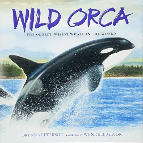 Wild Orca: The Oldest, Wisest Whale in the World