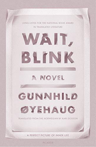Wait, Blink: A Perfect Picture of Inner Life