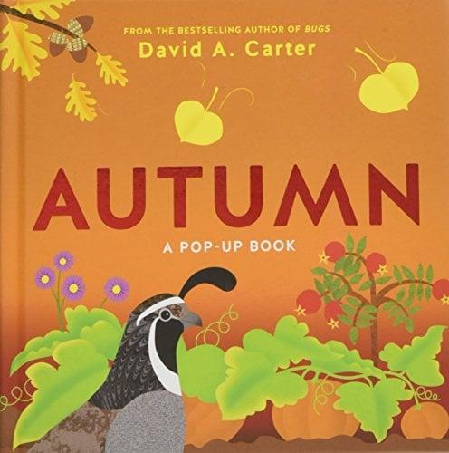 Autumn: A Pop-Up Book