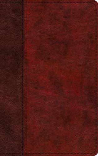 ESV Holy Bible Large Print Thinline (TruTone, Burgundy/Red, Timeless Design)