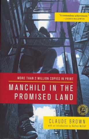 Manchild in the Promised Land