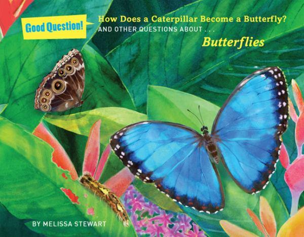 How Does a Caterpillar Become a Butterfly?: And Other Questons About.... Butterflies (Good Question!)