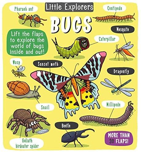 Bugs (Little Explorers)