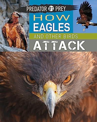 How Eagles and Other Birds Attack! (Predator vs Prey)