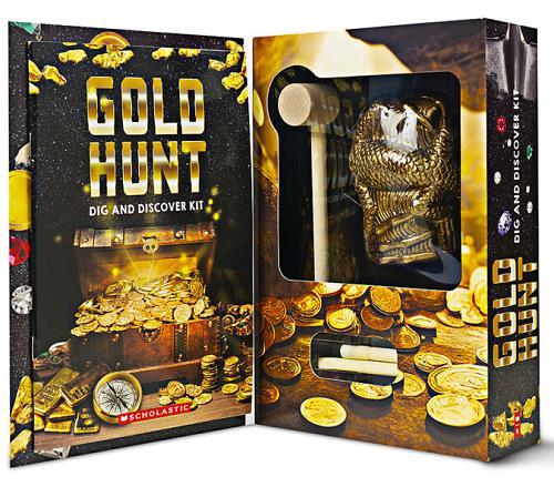Gold Hunt Dig and Discover Kit