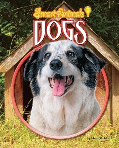 Dogs (Smart Animals)