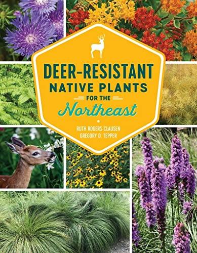 Deer-Resistant Native Plants for the Northeast