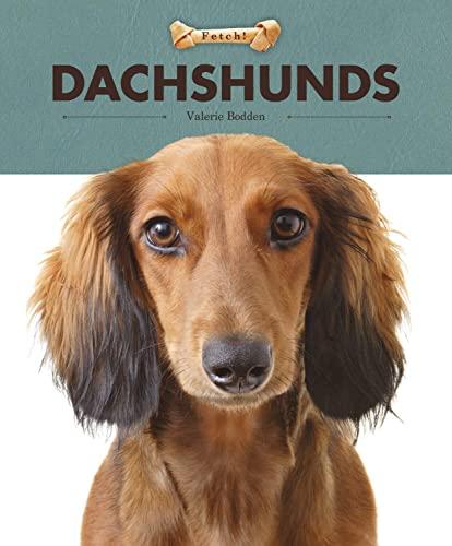 Dachshunds (Fetch!)
