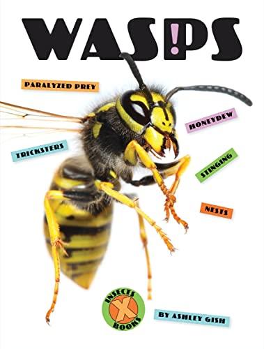 Wasps (X-Books: Insects)