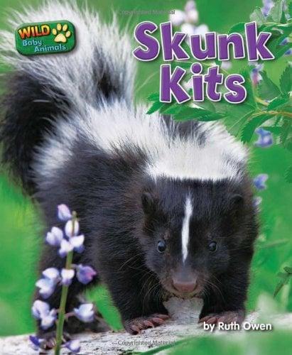 Skunk Kits (Wild Baby Animals)