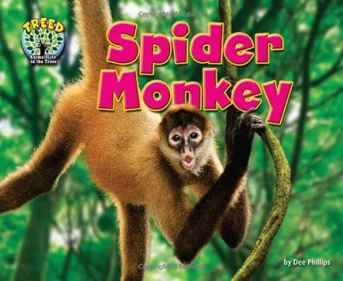 Spider Monkey (Treed: Animal Life in the Trees)