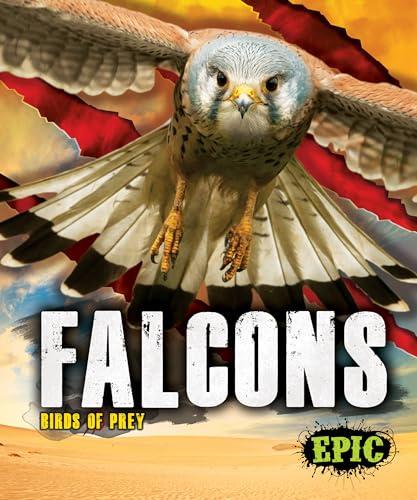 Falcons (Epic, Birds of Prey)