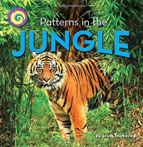 Patterns in the Jungle (Seeing Patterns All Around)