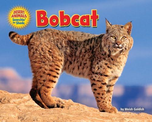 Bobcat (Desert Animals Searchin' for Shade)