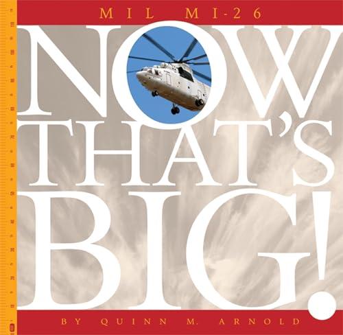 Mil Mi-26 (Now That's Big!)