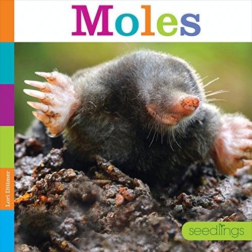 Moles (Seedlings)