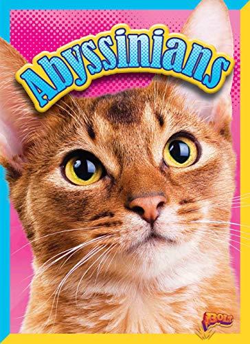Abyssinians (Cat Stats)