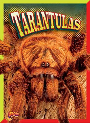 Tarantulas (Creepy Crawlies)