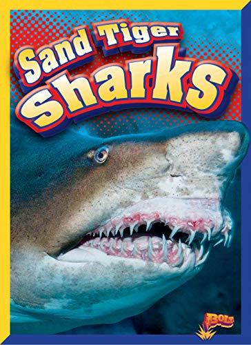 Sand Tiger Sharks (Swimming With Sharks)