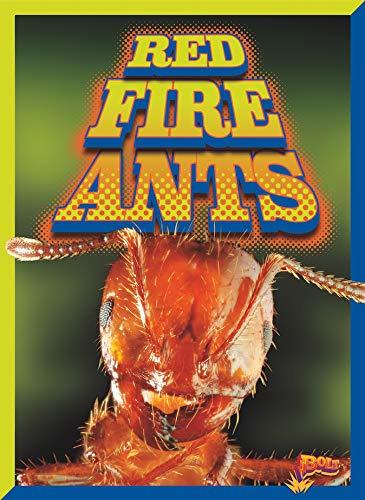 Red Fire Ants (Invasive Species Takeover)