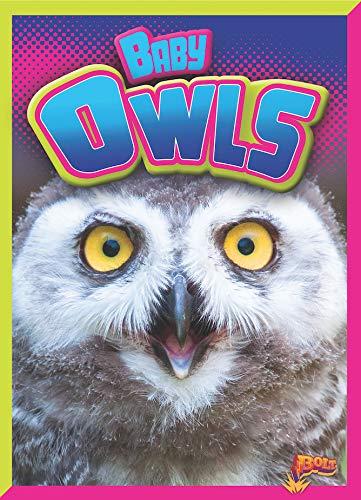 Baby Owls (Bolt, Adorable Animals)
