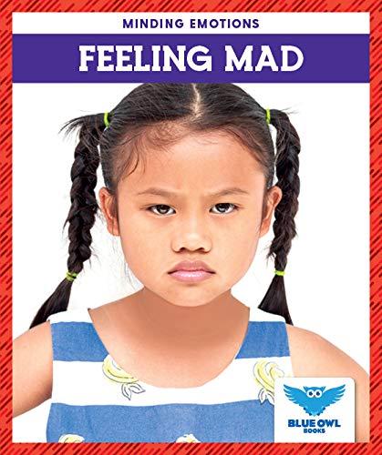 Feeling Mad (Blue Owl Books, Minding Emotions)