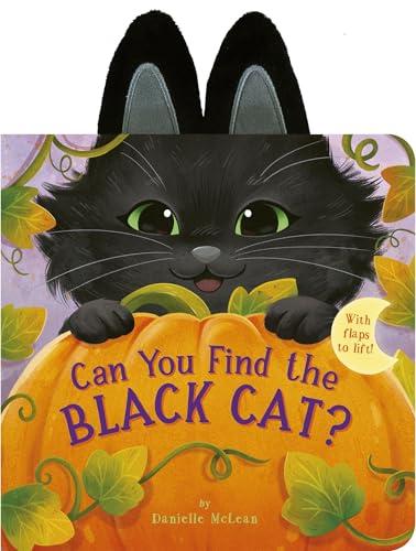 Can You Find the Black Cat? With Flaps to Lift!