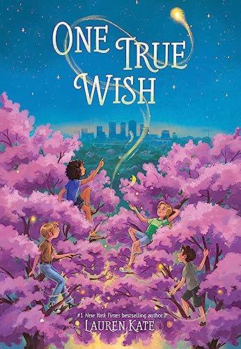 One True Wish
