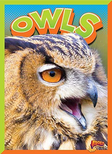 Owls (Wild Animal Kingdom)
