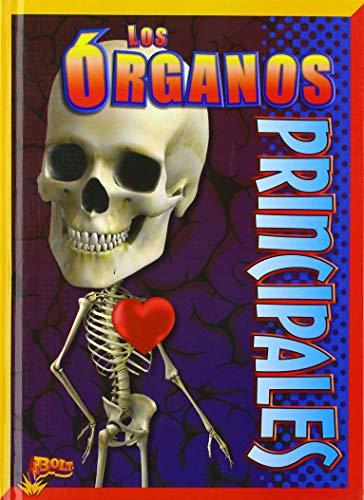 Los Organos Principales (El Asombroso Cuerpo Humano)
