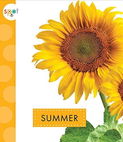 Summer (Spot)
